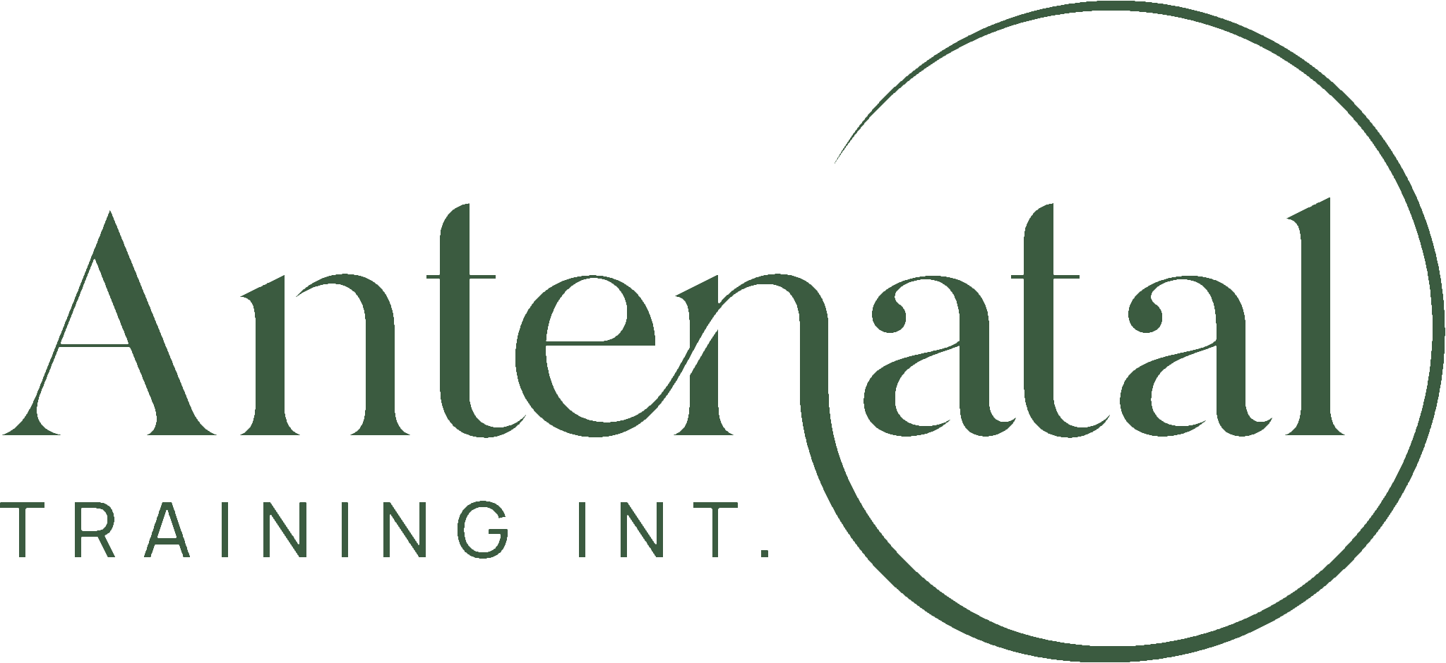 Antenatal Training International